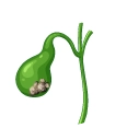 gallbladder_disease